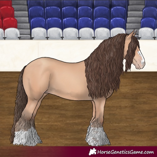 Horse Color:Amber Champagne 