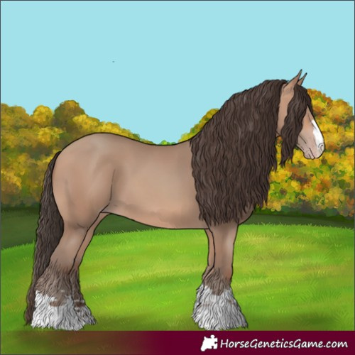 Horse Color:Amber Champagne 
