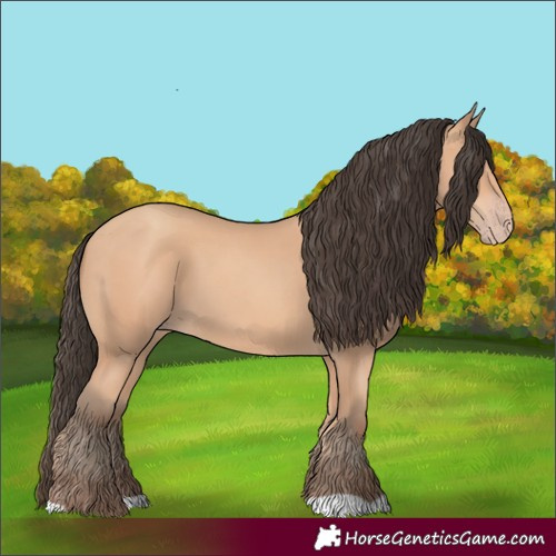 Horse Color:Amber Champagne 