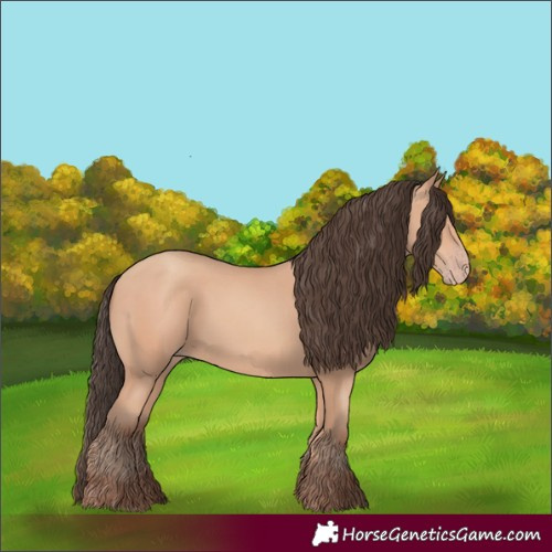 Horse Color:Amber Champagne 