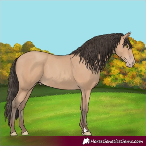 Horse Color:Amber Champagne 