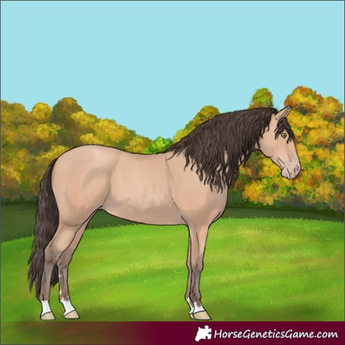 Horse Color:Amber Champagne 