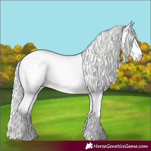 Horse Color:Cremello Dun Blanket 
