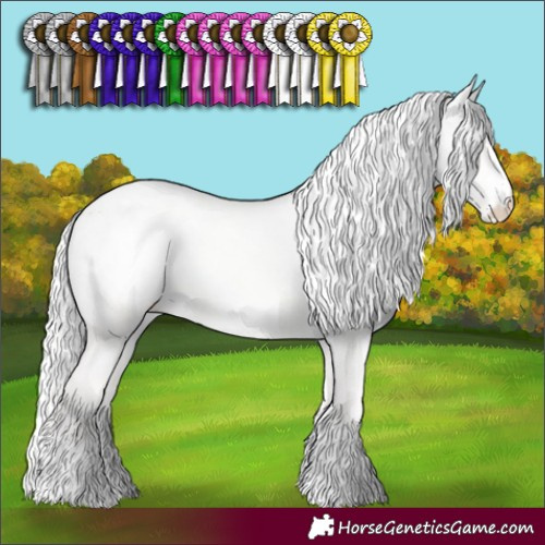 Horse Color:Cremello Dun Blanket 