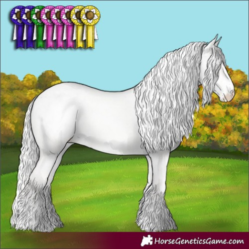 Horse Color:Cremello Dun Appaloosa 