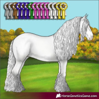 Horse Color:Cremello Dun Blanket 
