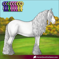 Horse Color:Cremello Dun Appaloosa 