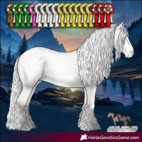Horse Color:Cremello Dun Blanket