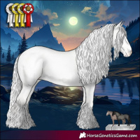 Horse Color:Cremello Dun Appaloosa 