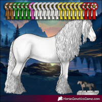Horse Color:Cremello Dun Blanket