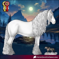 Horse Color:Cremello Dun Appaloosa 