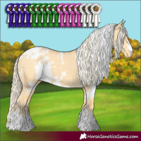 Horse Color:White Spotted Gold Cream Champagne Dun Blanket