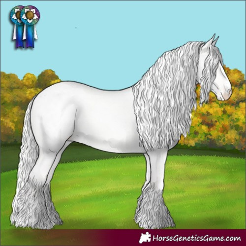 Horse Color:Cremello Dun Blanket 