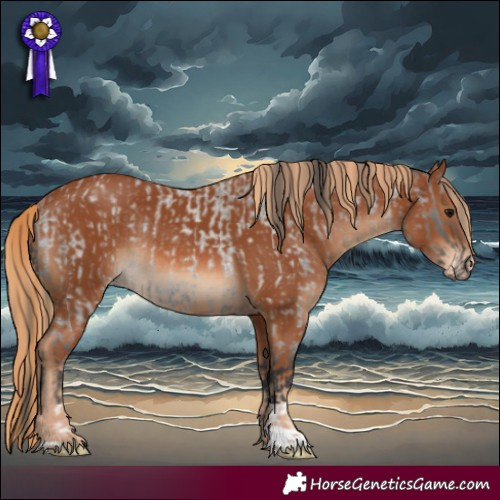 Horse Color:Grullo Roan Varnish Rabicano  and Chestnut Varnish Rabicano 