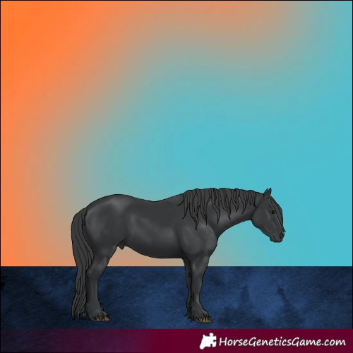 Horse Color:Unknown 