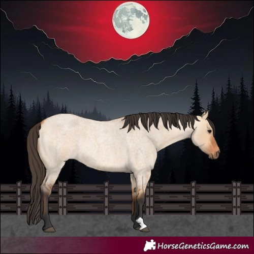 Horse Color:Bay Roan Dun 