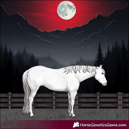 Horse Color:White Spotted Bay