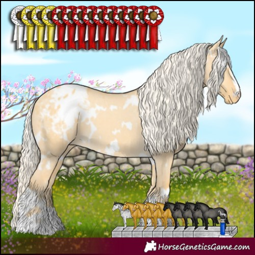 Horse Color:White Spotted Gold Cream Champagne Dun Blanket 