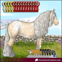 Horse Color:White Spotted Gold Cream Champagne Dun Blanket 