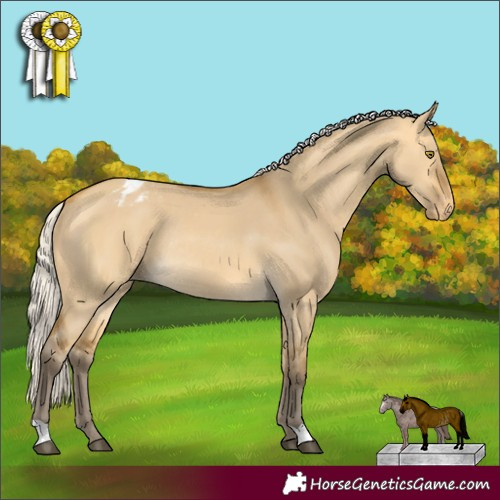 Horse Color:Silver Buckskin Dun Appaloosa Rabicano 