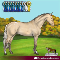 Horse Color:Silver Buckskin Dun Varnish Rabicano 