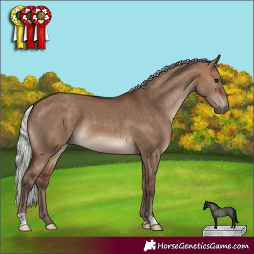 Horse Color:Silver Brown Dun 
