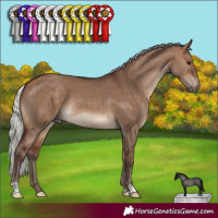 Horse Color:Silver Brown Dun 