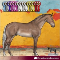 Horse Color:Silver Brown Dun