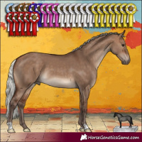 Horse Color:Silver Brown Dun
