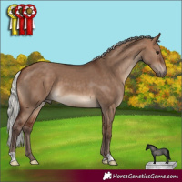 Horse Color:Silver Brown Dun