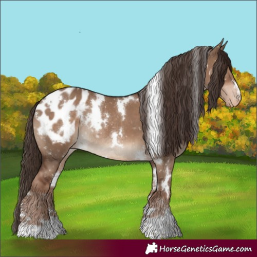 Horse Color:White Spotted Liver Red Dun Appaloosa Rabicano