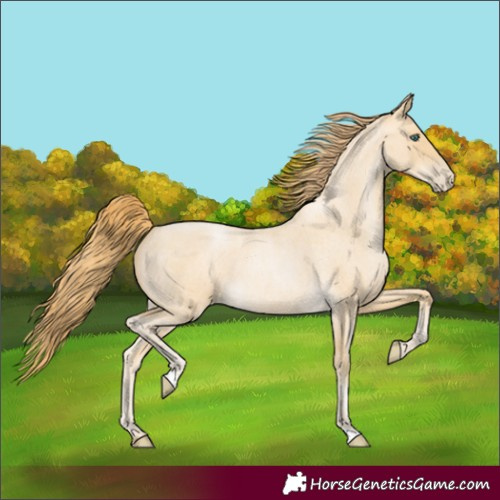 Horse Color:Smoky Blue Roan Pearl