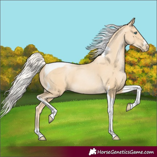 Horse Color:Silver Smoky Black Pearl Tobiano