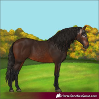 Horse Color:Gray Bay