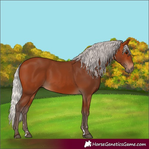 Horse Color:Silver Bay 
