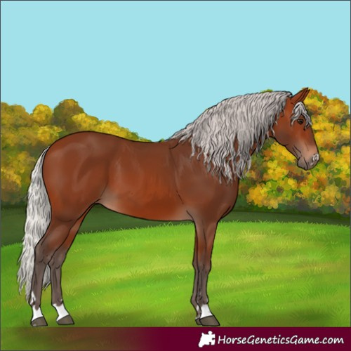 Horse Color:Silver Brown 