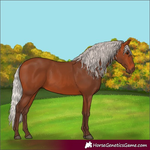 Horse Color:Silver Bay 