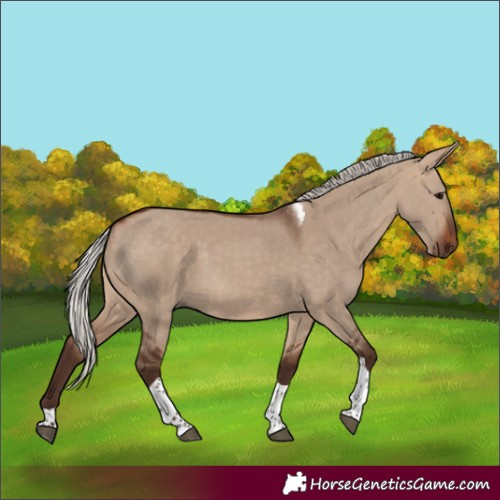 Horse Color:Silver Bay Dun Tobiano