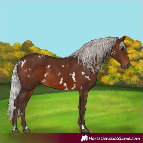 Horse Color:White Spotted Silver Brown 