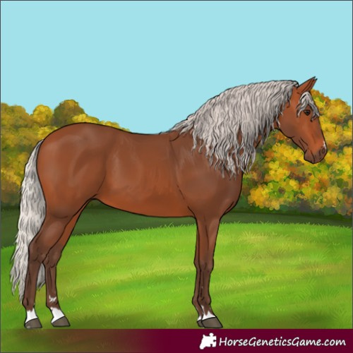 Horse Color:Silver Bay 