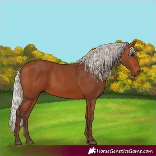 Horse Color:Silver Bay 
