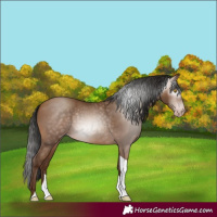 Horse Color:Gray Amber Champagne Tobiano