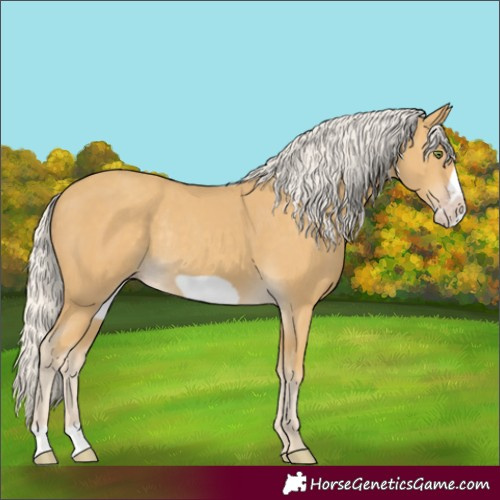 Horse Color:Silver Classic Cream Champagne Frame Rabicano 