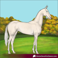 Horse Color:Cremello 