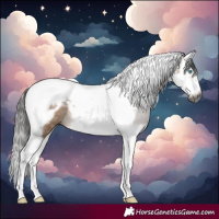 Horse Color:Gray Bay Dun Splash Tobiano Frame Rabicano