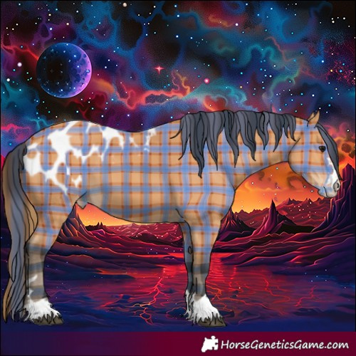 Horse Color:Plaid Bay Blanket