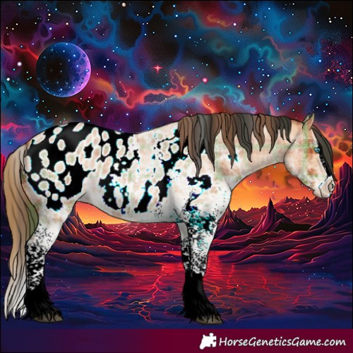 Horse Color:Plaid White Spotted Bay Roan Splash Appaloosa