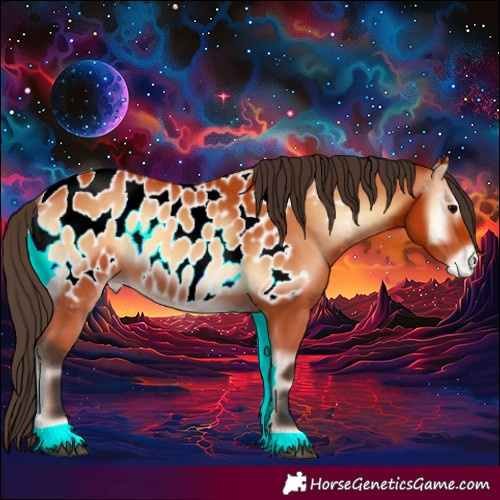Horse Color:Bay Onyx Near Leopard