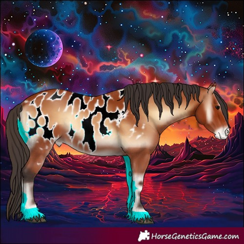Horse Color:Bay Onyx Near Leopard