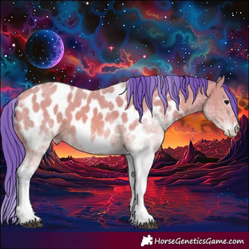 Horse Color:Watercolor White Spotted Bay Appaloosa 
